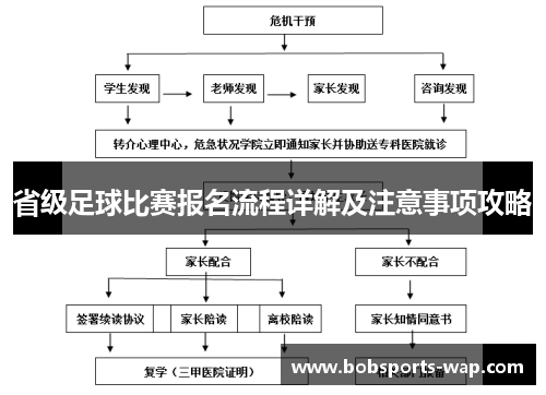 省级足球比赛报名流程详解及注意事项攻略